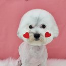 코즈몽