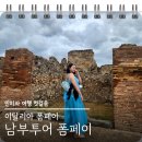 화산제 | 이탈리아 남부투어 폼페이 역사