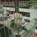 윤우농장 이미지