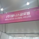 웰리스명장