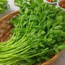 청도농수산