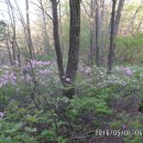 창수목장 이미지