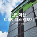 코스트코 홀세일 세종점 | 천안아산 트레이더스 평일 방문 장보기/ 푸드코트 아메리칸 미트볼 추천
