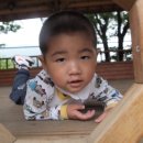 팔매숲공원 이미지