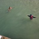 판포초등학교 이미지