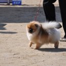 이천공설운동장 이미지