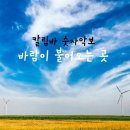 바람이불어오는곳 이미지