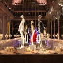 비아로마 이미지