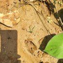 도영 농장 이미지