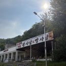 강원도 영월 가볼만한곳 청령포 방문 후기