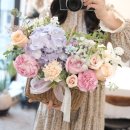 소유플레르 이미지