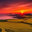 농업회사법인 동협태양광발전사업 주식회사 | 평당 수십만 원 해남 산이면 땅, 데이터센터 유치와 에너지 펀드 호재