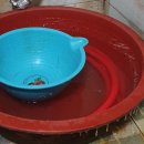 쪽방촌 화장실 이미지