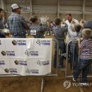 The fair w 이미지