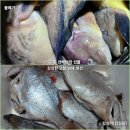 촌부의 단상-58년 이어온 향수심의 보답인가? 이미지