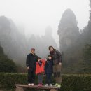 비안도초 이미지