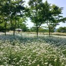 악양생태공원 이미지