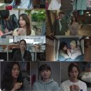 헬로, 멜로 이미지