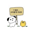 스테이 니와 네이버블로그