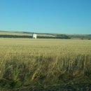 아델레이드 이미지