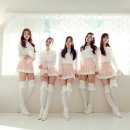 베리 이미지