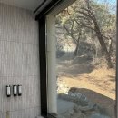 주5동 | 강원도 원주 펜션 추천 자연 속 감성 숙소 힐링포레스트 숙박 후기