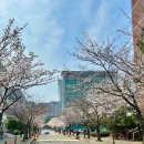 산복로 이미지