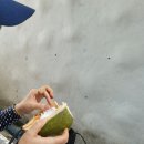 티에스매점 | 푸켓 태국 Day3 : 클룩 라차섬 산호섬(코랄섬) 섬투어 스노클링 후기