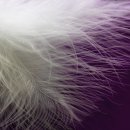 24시안마원 이미지