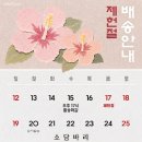 형수농산물 | 제헌절 택배공지