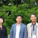 스테이나무 이미지