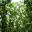 샛터농장 이미지