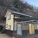 산울림 | 영월펜션 산울림산장 후기 강원도여행 연말장소