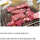 스압)한국 고기구기문화가 의문이었던 스웨덴 친구 이미지