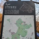 봉제산 강서다목적체육관 이미지