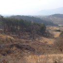 산동면사무소 이미지