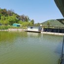 새마을낚시터 이미지