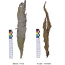국립수산과학원 이미지