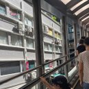 프라자빌딩(프라자호텔, 엔젤클럽, 식당) | 4박 5일 홍콩 마카오 여행 / 역대급 분량 .... 홍콩 알짜배기만 골라골라 다니는 대충 주말마다 한바탕...