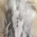 영천동물병원 이미지