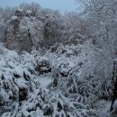 세상에서 가장 아름다운 것은 이미지