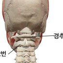 화목한의원 이미지