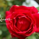 봉골길 이미지