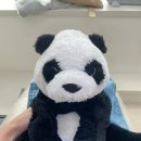 사랑니를부탁해구강악안면외과치과의원 이미지