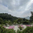 강화 버팔로 캠팜 네이버블로그