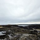 제주도 돌고래 스팟 이색체험 제주돌고래힐링투어 돌아기 후기