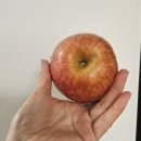 부영농원 이미지