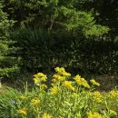 기린초등학교 이미지