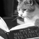 그림동화-책 읽어주는 고양이! 이미지
