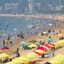 태안군 만리포해수욕장, 오는 22일 개장!(서산태안신문) 이미지